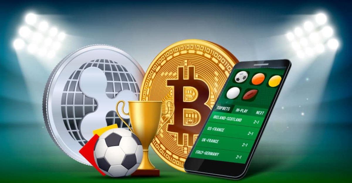 Descubra o Mundo das Apostas Online com 656bet 9