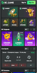 Explore the World of Stake Daily Betting